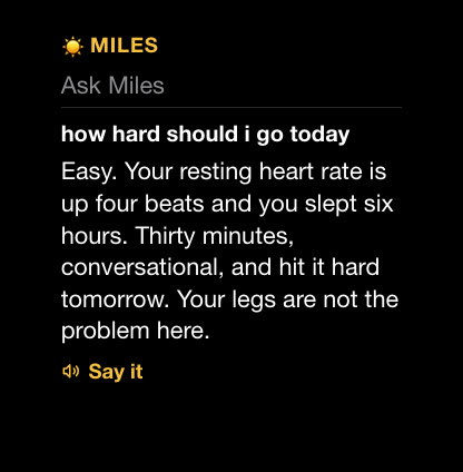 Asking Miles a question on Apple Watch